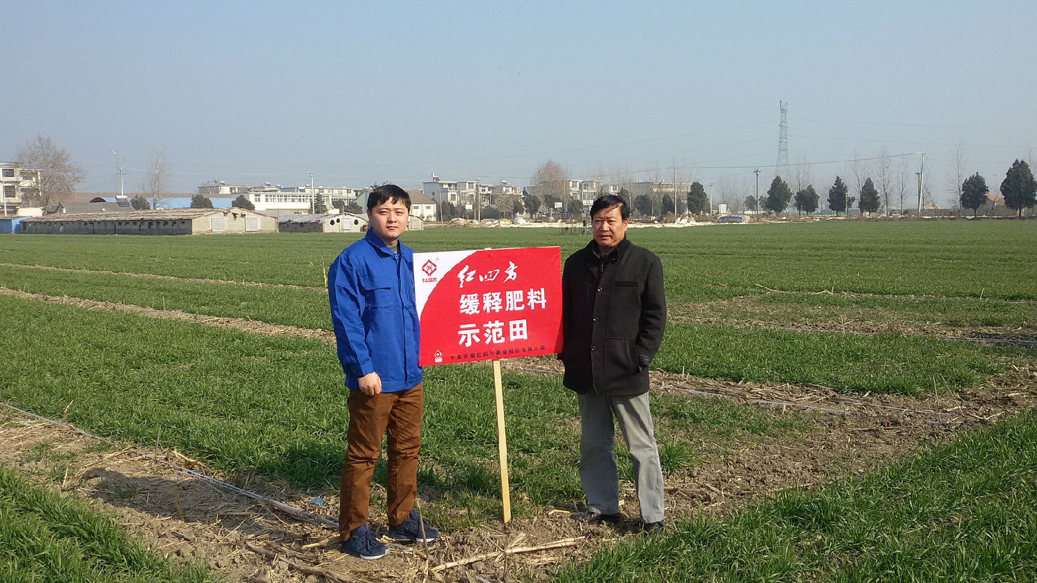 樱桃视频大全免费缓释肥示范田(1)