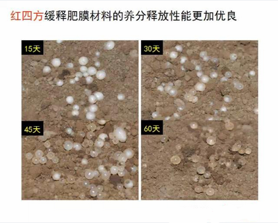 樱桃视频大全免费缓释肥膜材料养分释放性更优良
