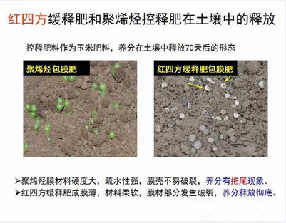 樱桃视频大全免费缓释肥在土壤释放的对比实验图