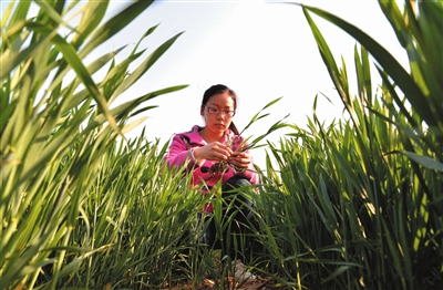 我是80后新农人，种植樱桃视频黄色片就用樱桃视频大全免费樱桃视频黄色片樱桃污视频在线观看料
