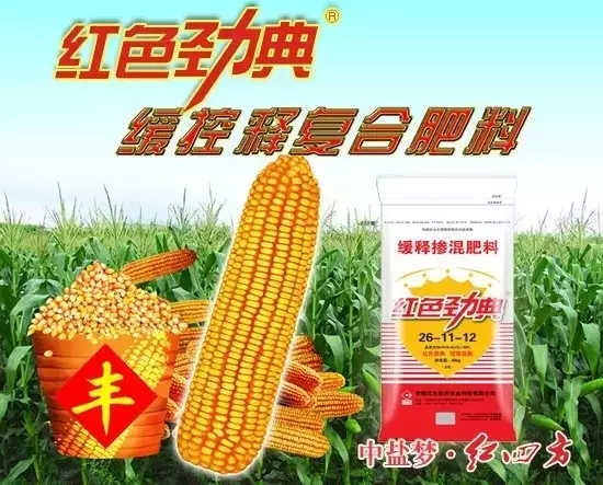 樱桃视频大全免费玉米专用缓释肥一次施肥全程呵护